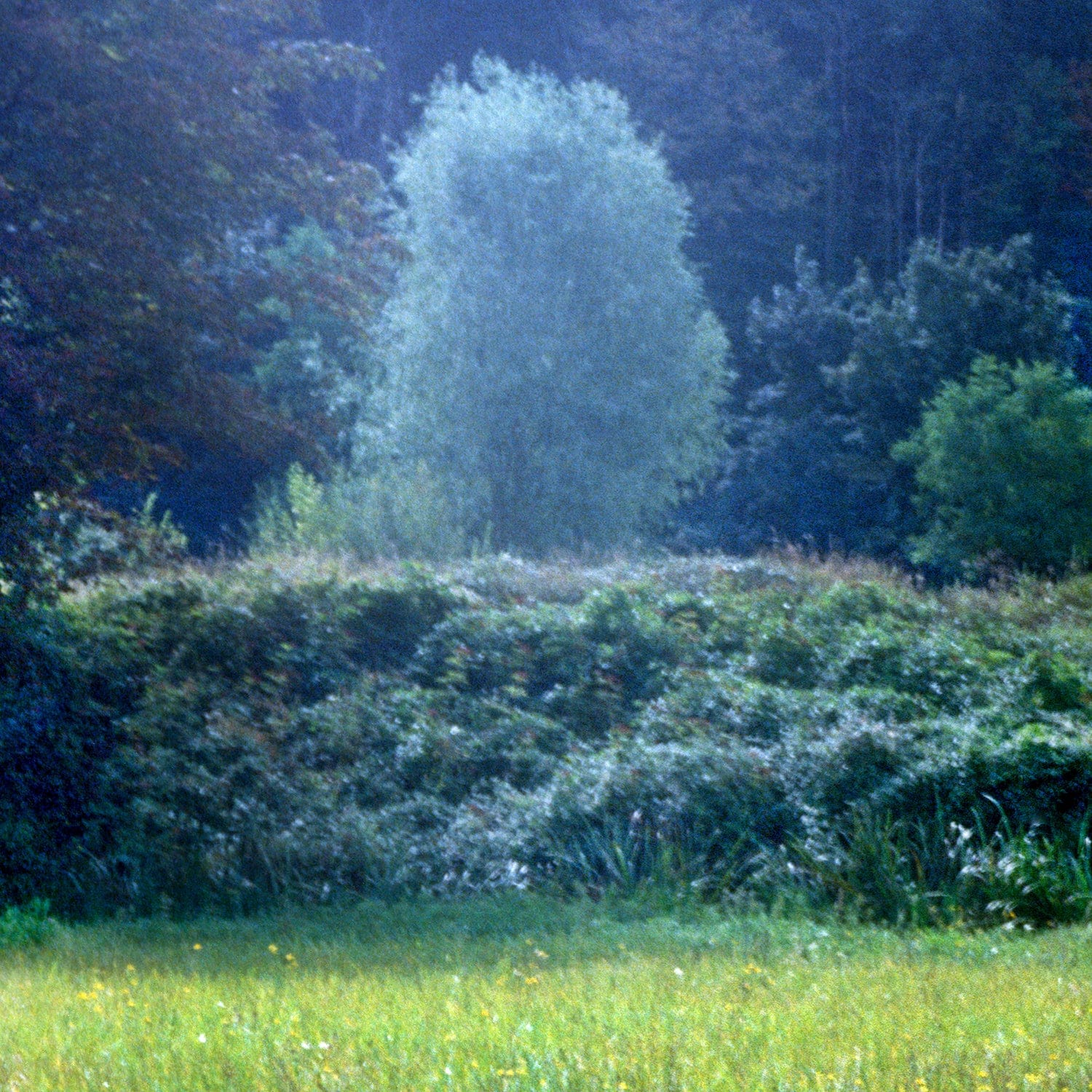 FOR REST Eau de Parfum - Image 5