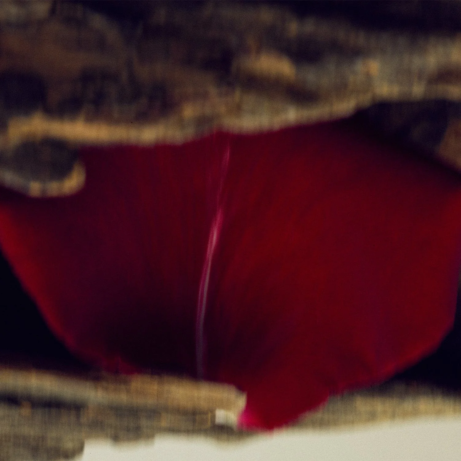 GAIAC FLOWER Hand Lotion - Image 3