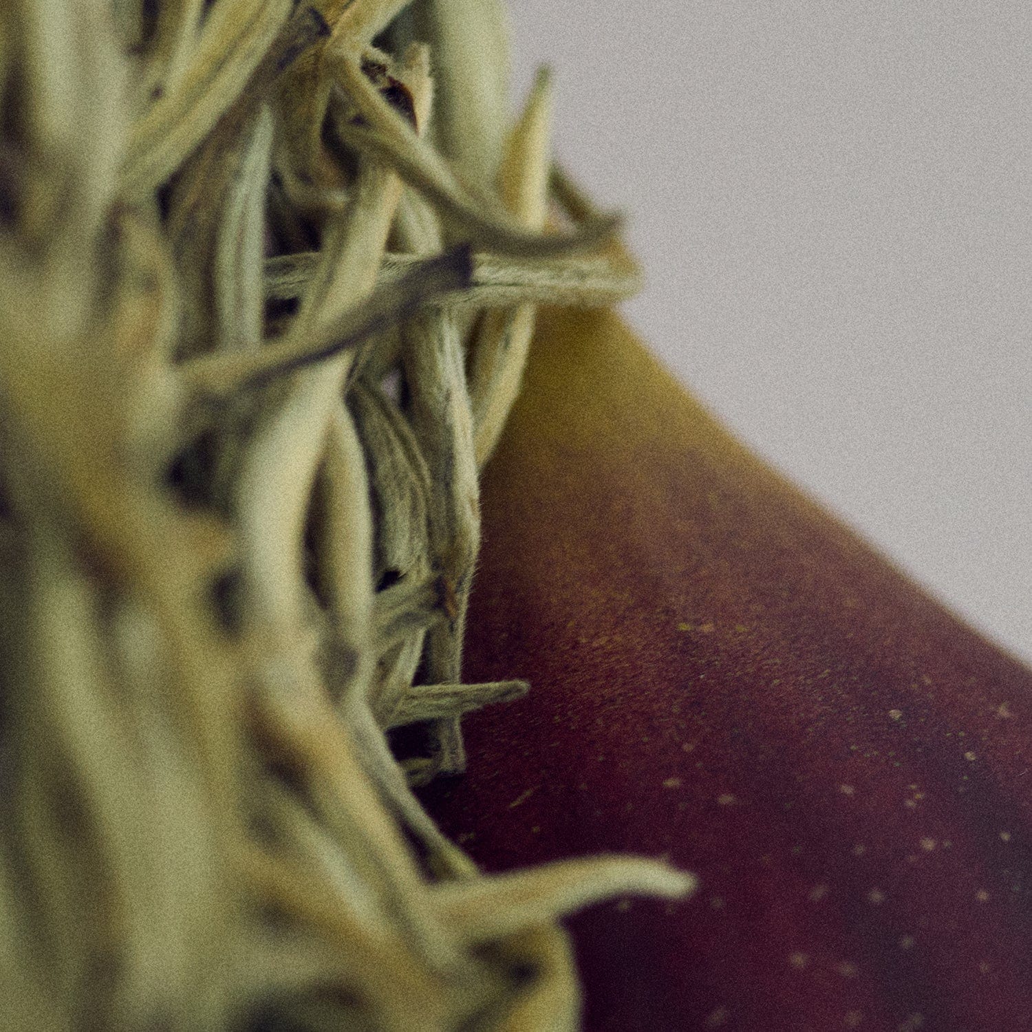 GENTLE NIGHT Body Lotion - Image 3